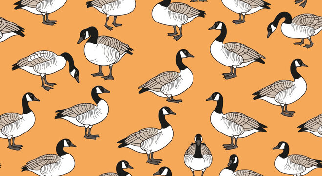 Seamless wallpaper pattern of illustrated Canada geese in various poses including standing and bending on a solid orange background.