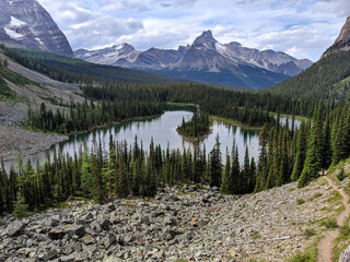 A trail leads towards coniferous forest with small lakes in a valley surrounded by the Rocky Mountains during summer. © Matt