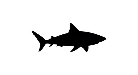 Fototapeta premium Black silhouette of a shark swimming.