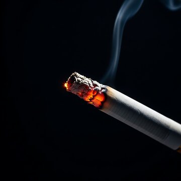 Close-up of burning cigarette smoke.