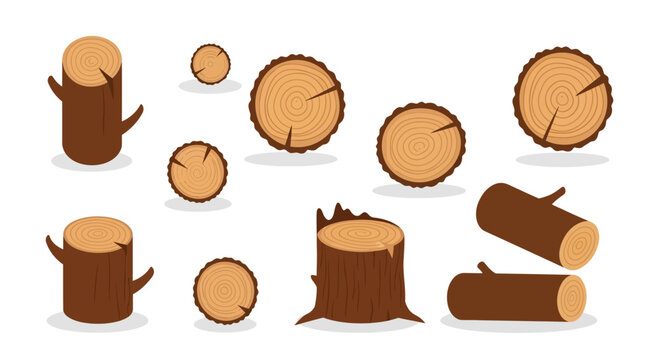 Wooden Tree Stumps Illustration.