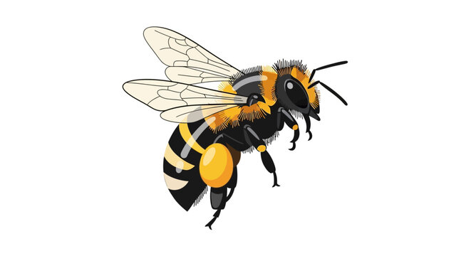 Bee Flying Insect Closeup.