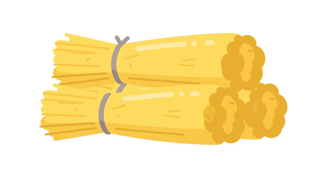 Bunches of Yellow Asparagus.