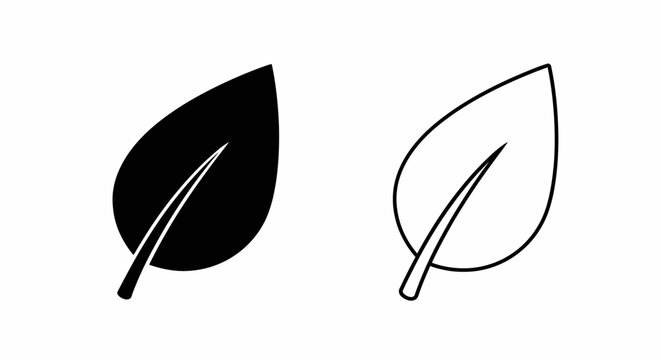 Two leaves with midrib line art, minimalist botanical illustration Vector