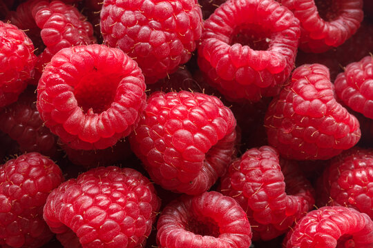 A group of fresh, ripe raspberries, close-up. Raspberry background