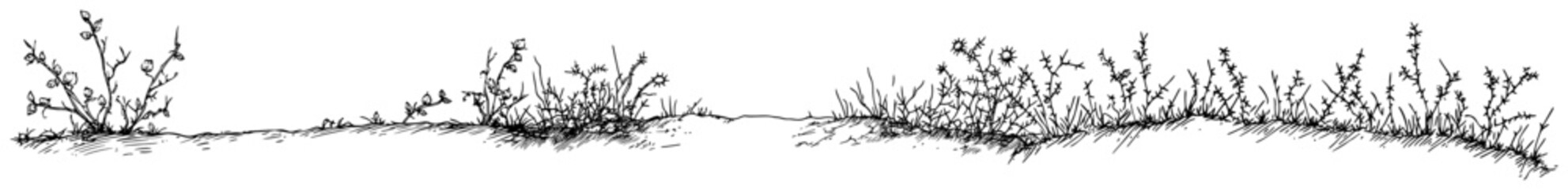 Panoramic landscape ground border sketch with wild grass and meadow weeds © Kaz