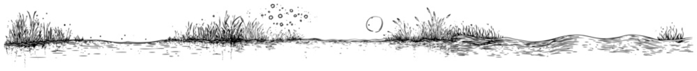 Panoramic sketch of a marsh landscape with water and wild grass