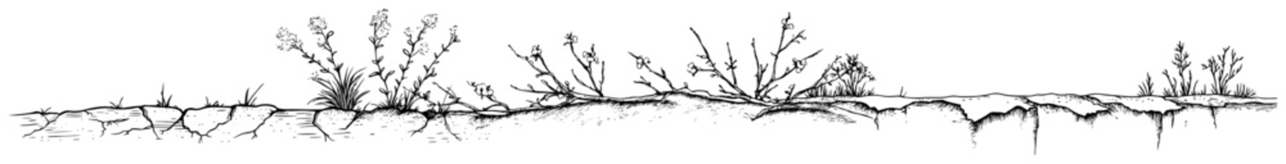 Detailed hand drawn illustration of ground surface with grass and small shrubs © Kaz