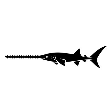 Silhouette of a sawfish in black and white, perfect for design.