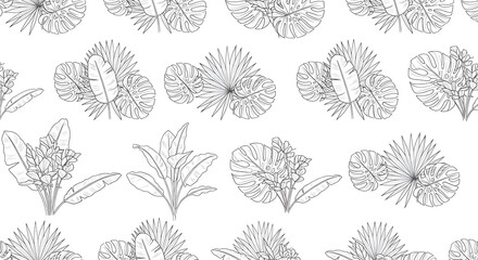 Seamless Tropical Plants Line Horizontal Pattern with Elegant Minimal Outline Style