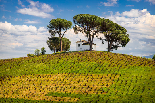 Scenic view of rolling vineyards and an iconic historic villa in the El Bierzo wine region along the Camino de Santiago trail, traditional viticulture landscape under a blue sky in Spain.