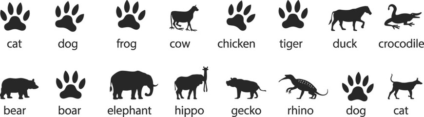 Animal paw prints and silhouettes with labels vector © Priyom