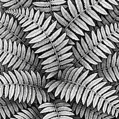 Detailed monochrome illustration of fern leaves creating a natural pattern. © rara