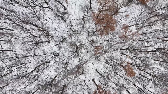 Aerial winter view of Montreal suburbs, snowy angrignon park and river near Lachine and Verdun under cloudy sky. g.