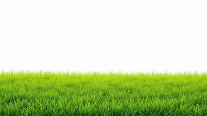 Fototapeta premium Fresh green grass field isolated on white background with copy space.