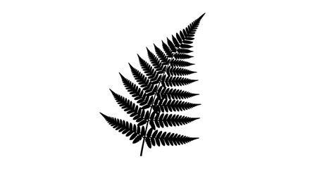 Obraz premium Black Fern Frond Silhouette on White Background, Elegant Botanical Vector Art