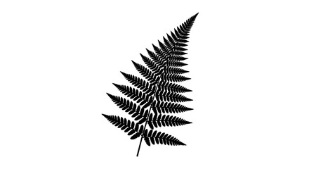 Obraz premium Black Fern Leaf Silhouette on White Background