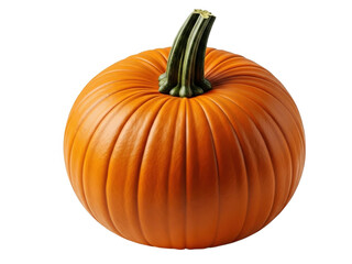 Obraz premium A vibrant orange pumpkin displayed against a plain white background