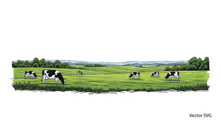 Herd of Dairy Cows Grazing in a Lush Green Pasture on a Sunny Day © Azis