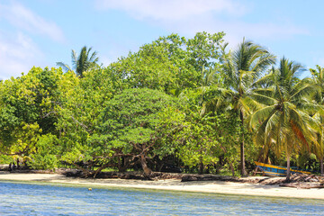 Bright sunny day at the beach with golden sand, gentle waves, and clear blue sky. A peaceful seaside scene capturing the warmth of summer, fresh ocean breeze, and relaxing coastal atmosphere.