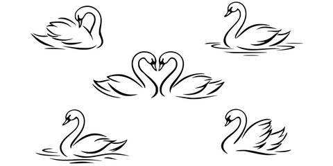 Fototapeta premium Line art swans drawing. Hand drawn doodle illustration 