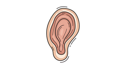 Stylized Human Ear Illustration - Hearing, Anatomy, Sound Perception