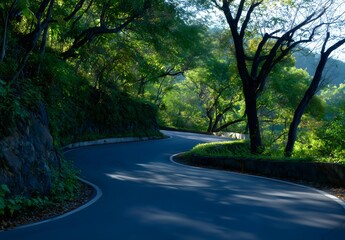 Obraz premium Winding mountain road passing through lush green forest