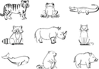 Obraz premium Hand drawn wild animal outline illustration set with tiger, frog, crocodile, raccoon, rhinoceros, bear, whale, pig, and cat in simple line vector style