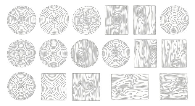 Wood Grain Pattern with Tree Rings and Planks Vector Illustration
