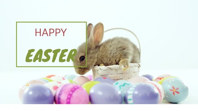 Green line appearing, HAPPY EASTER sign sliding, brown rabbit leaning and inspecting decorated eggs