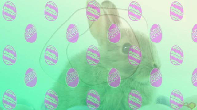 Light-brown rabbit turning head after ear twitch, scanning cushions with teal wash, purple eggs