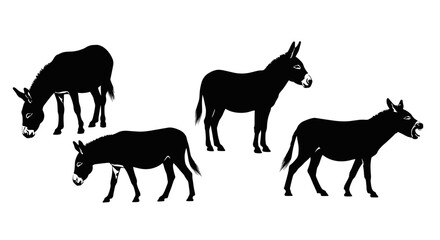 Group of four black donkey silhouettes in various poses grazing standing and with mouths open isolated on a white