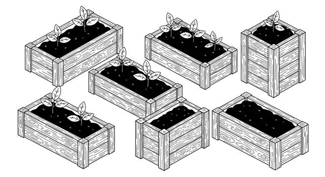 Various wooden raised garden beds filled with soil and young seedlings presented in a clean isometric illustration