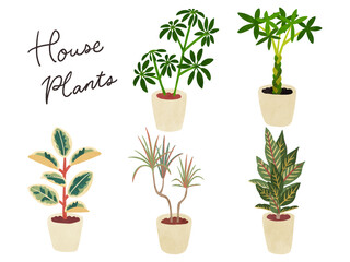 Obraz premium 観葉植物5種類のセット2 水彩風手描きイラスト
