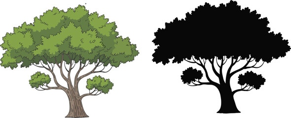 Hand drawn green oak tree illustration with textured foliage and detailed wood grain alongside a solid black silhouette isolated on white background. © SHAPLAKHATUN