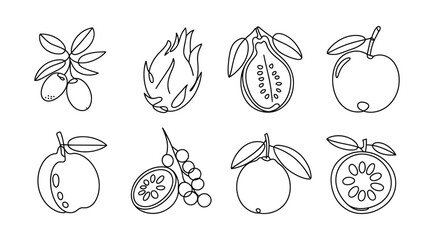 Assorted Fresh Fruits and Berries Line Art Collection berry apple © vectorgame