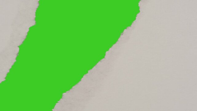 green torn paper background
