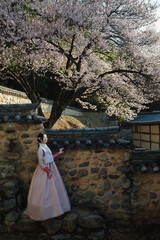 밀양향교 돌담과 매화 아래, 한복 여인의 봄 산책