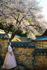 밀양향교 돌담과 매화 아래, 한복 여인의 봄 산책