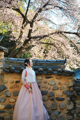 밀양향교 돌담과 매화 아래, 한복 여인의 봄 산책