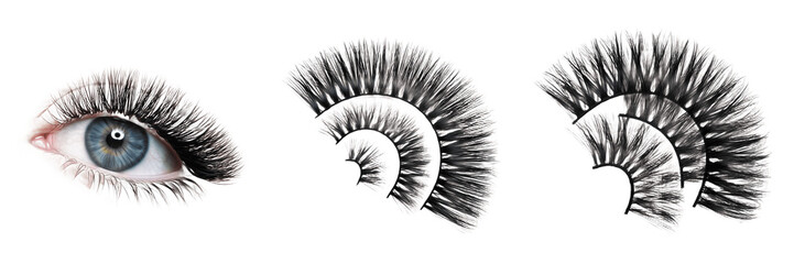 Eyelash Extensions Individual Lash Clusters Isolated on White Background No Shadow, Synthetic Lash...