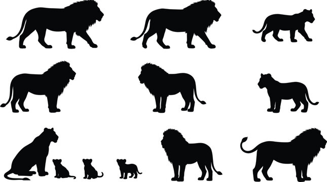 Lion and lioness silhouette collection with cubs in various poses isolated on white background, detailed wildlife animal vector illustration set