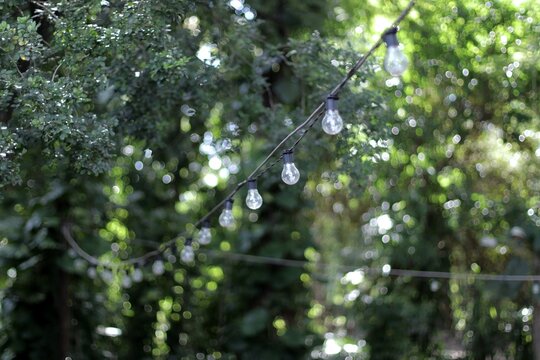 L&acirc;mpadas de enfeite no quintal