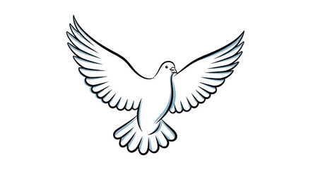 Fototapeta premium White Dove Flying Spreading Wings Isolated On White Background