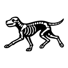 Obraz premium Dog skeleton running pose, extended legs, dynamic side view