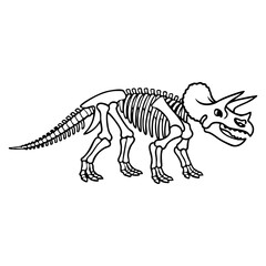Fototapeta premium Triceratops skeleton, full body side view with three horns