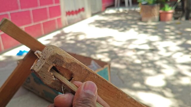 Cleaning wood borer insects from rotten wood