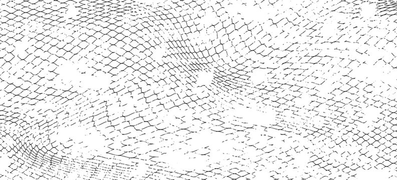 Black snake skin pattern isolated on white background eps 10