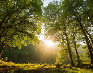Obraz premium Beautiful mountains with flowers and sky__summer landscape with mountains at sunrise. sun shining through the trees.