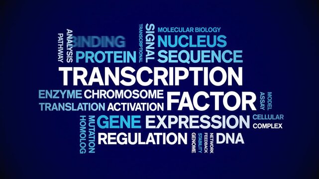 Transcription Factor animated word cloud-text design animation tag kinetic typography seamless loop.